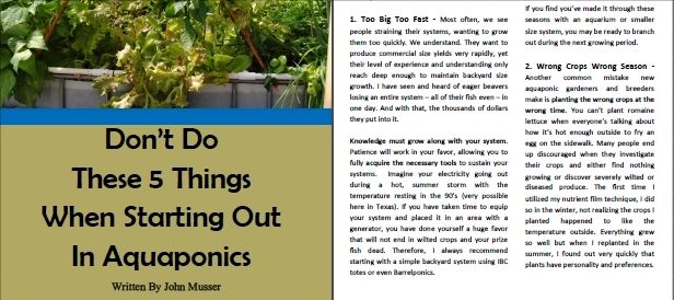 Common Mistakes That People Make In Aquaponics