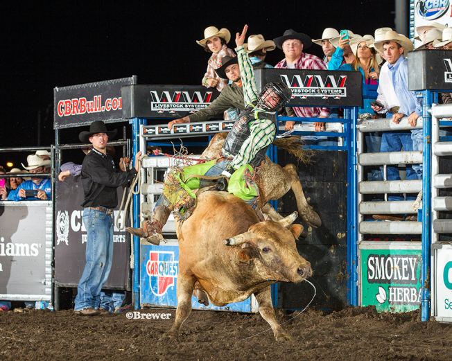 Tanner Bothwell, Rapid City bull rider takes on World Champs at SD Fair 