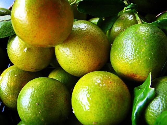 Dalandan (Citrus aurantium), Dr.Abhay Kumar Pati, Biotechayur, Odisha