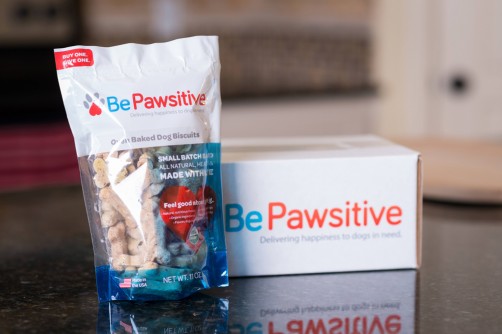 Be Pawsitive Monthly Treat Box