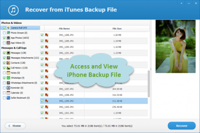 iphone backup viewer review