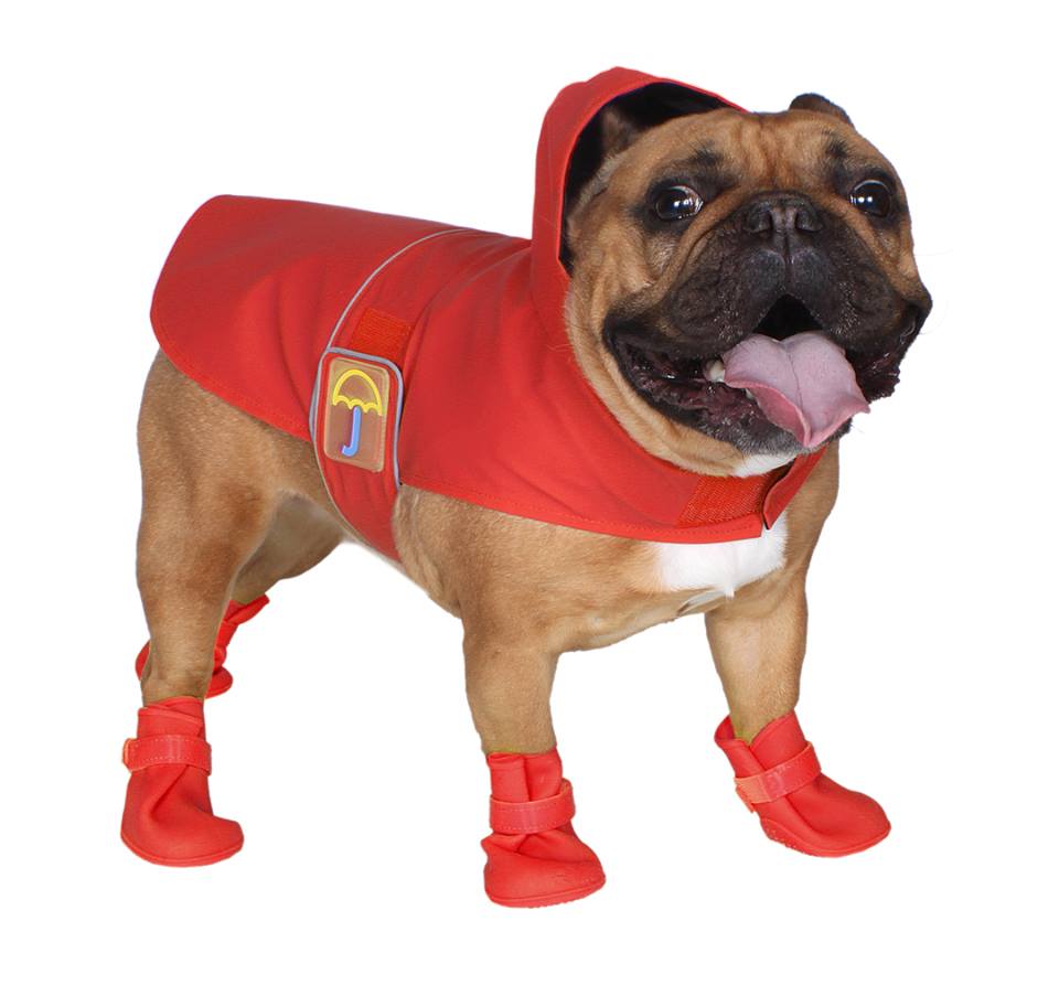 dog raincoat and wellies