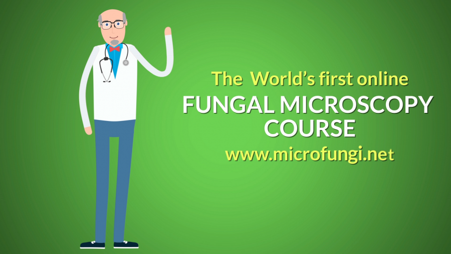 Manchester First As Elearning Course In Fungal Microscopy Is Launched