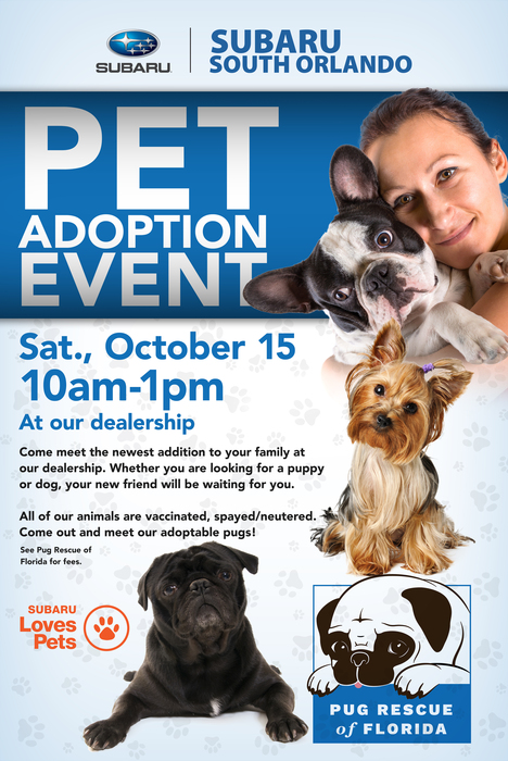 27 HQ Pictures Pet Adoption Events Okc Today / Adopt a Pet from an Animal Rescue in OKC | Central ...
