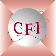 CFI is one if Ireland's forefront company formations experts