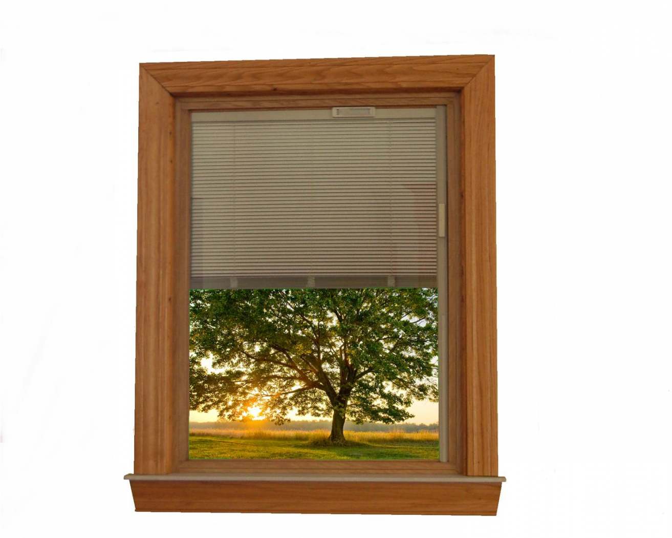 Vinyl Replacement Windows With Blinds Built in Between the Glass Steal