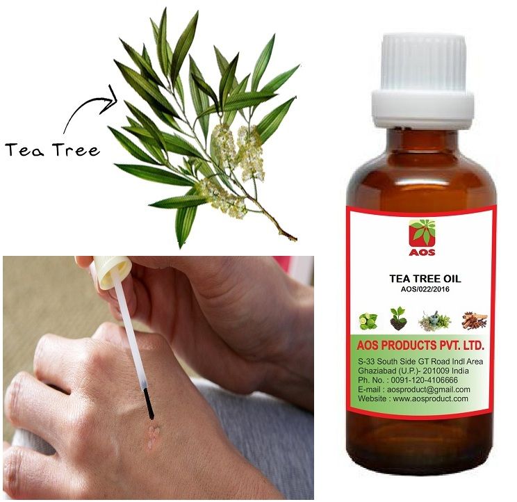 Чайное дерево форум. МИРАРОМА масло чайного дерева. Tea Tree Essential Oil. Масло чайного дерева фото. Suda масло чайного дерева.