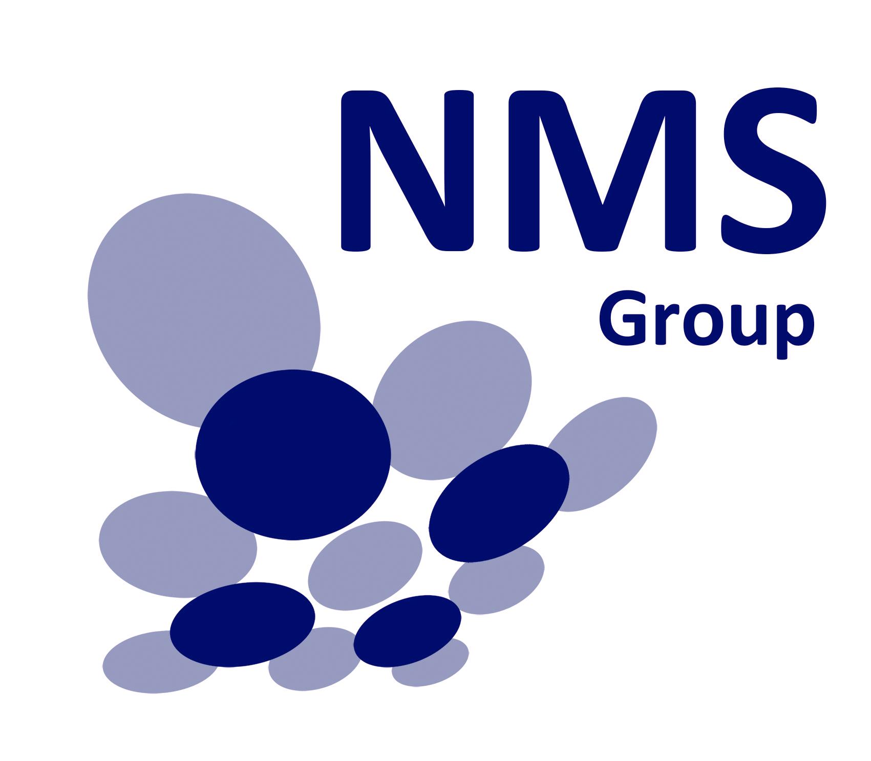 Sari Announces Closing Of Nms Acquisition -- NMS Group S.p.A. | PRLog
