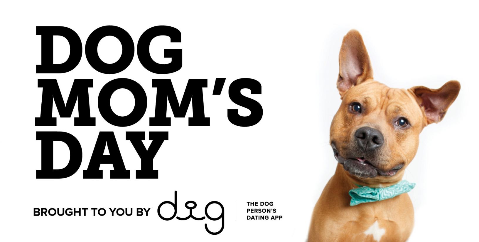 Переведи на русский dog day. Дог дей. Mom Dog Day. Собака из надписи дог. День собачьей мамы (National Dog mom`s Day) - США.