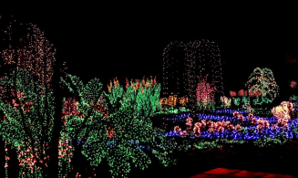 Mounts Botanical Garden To Present Garden Of Lights A Winter