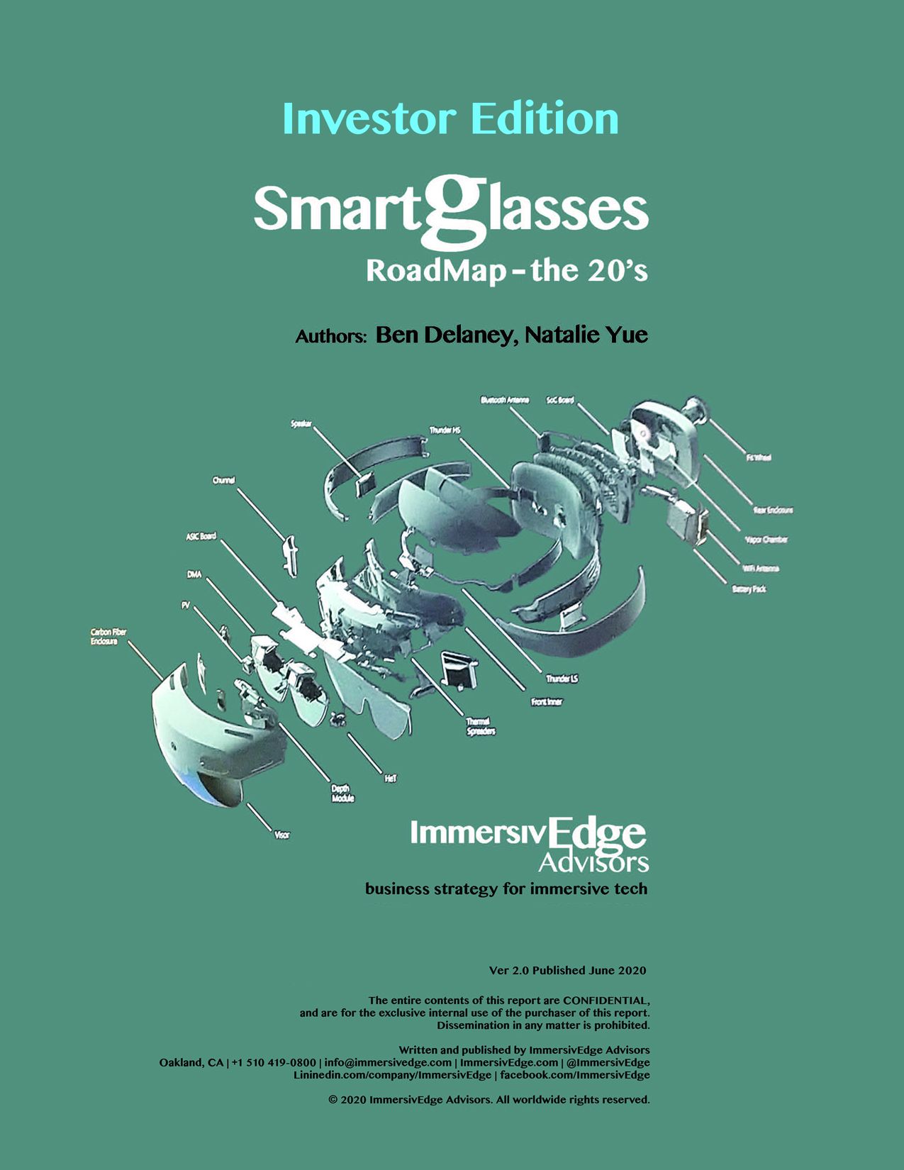 Smartglasses Roadmap, Investor Edition