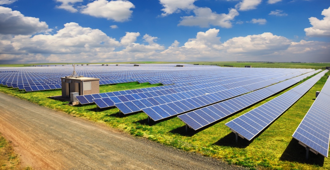 Solar Farm Bel Trading 2020