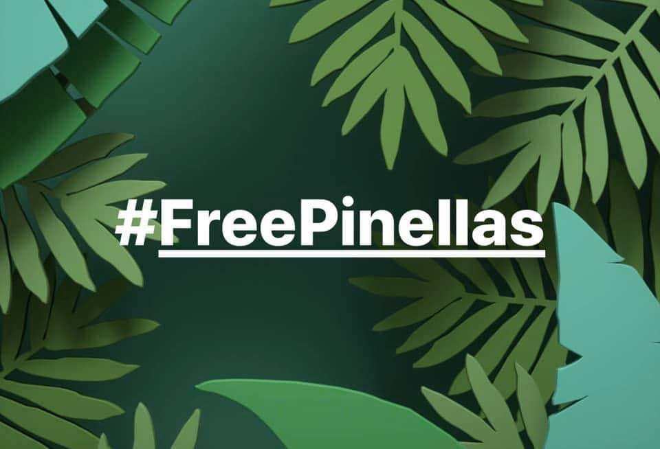 Free Pinellas