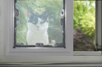 Window Cat Door