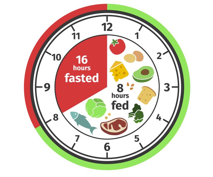 16 8 Intermittent Fasting For Longevity Web