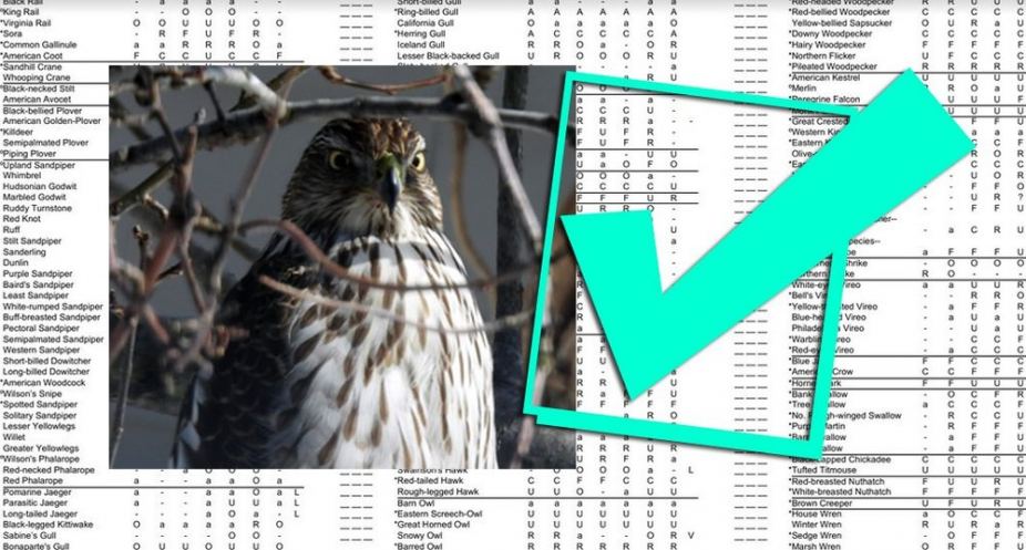 Birds of the Greater Chicago Area Checklist