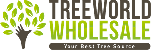 Treeworld Wholesale