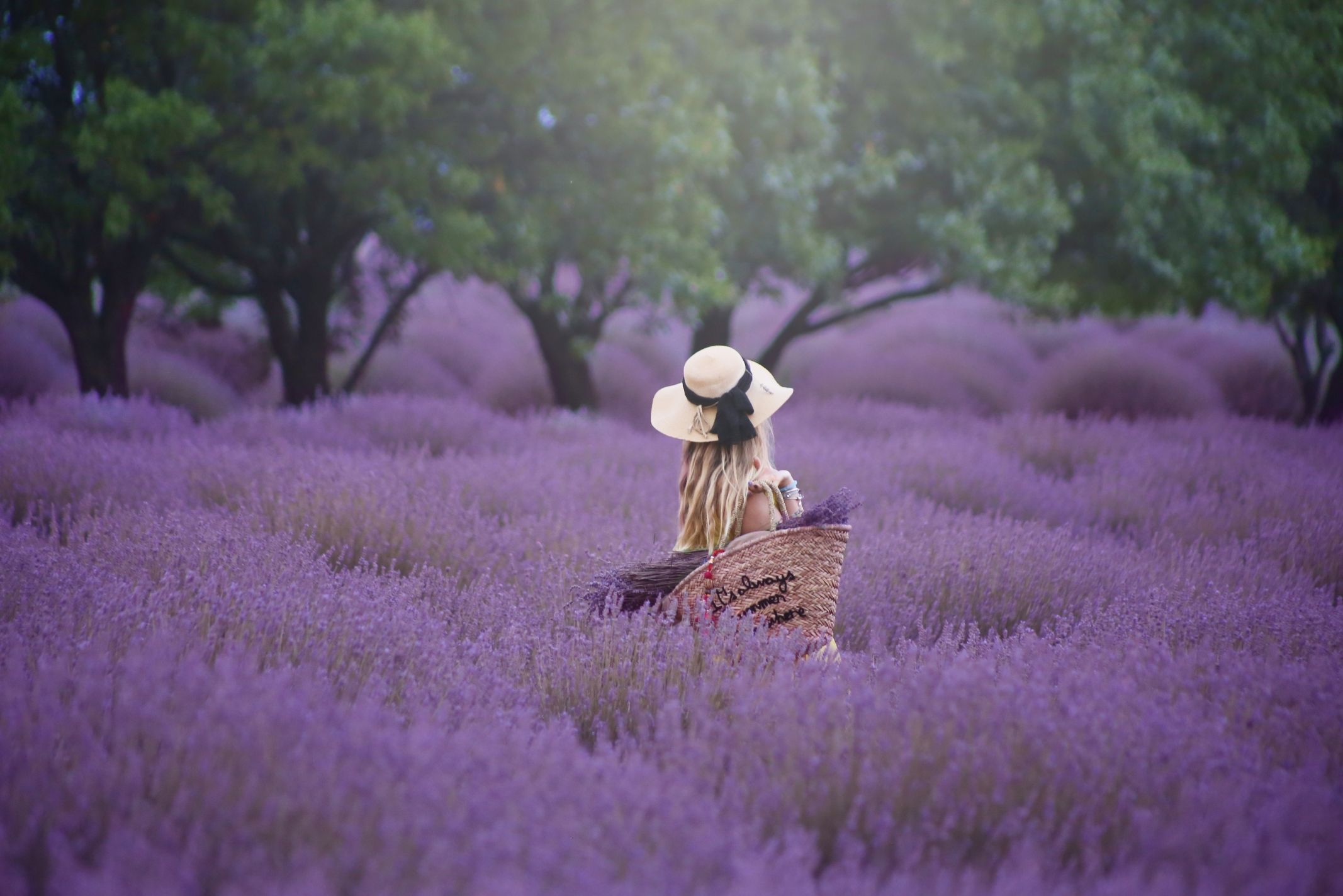 Isparta Lavender Field Kuyucak