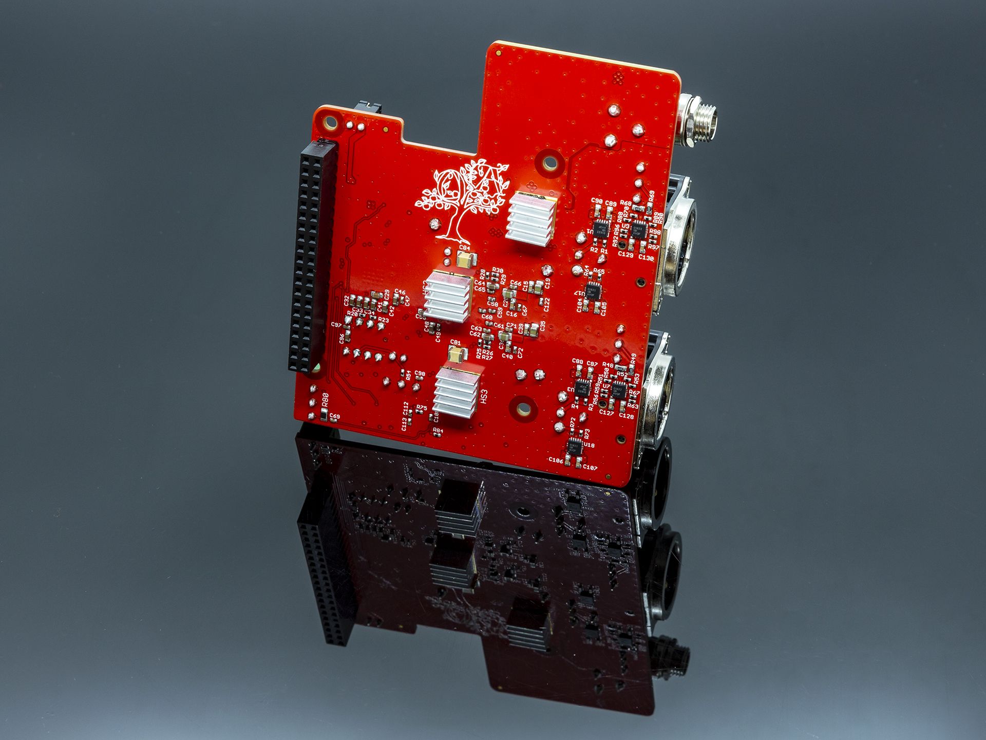 PecanPi+ DAC Back