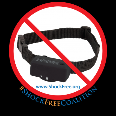 Shock Free Coalition