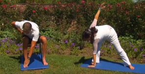 Modified levels include Chair Exercise & Standing