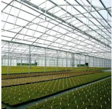 Greenhouse Tarps