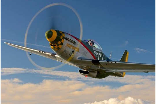 P51 Gunfighter