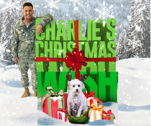 Poster with Aiden Turner in uniform