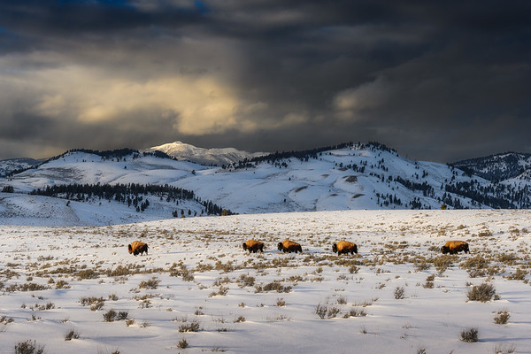 photography workshops North America