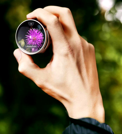 Lens, Sara & Wenyu Design