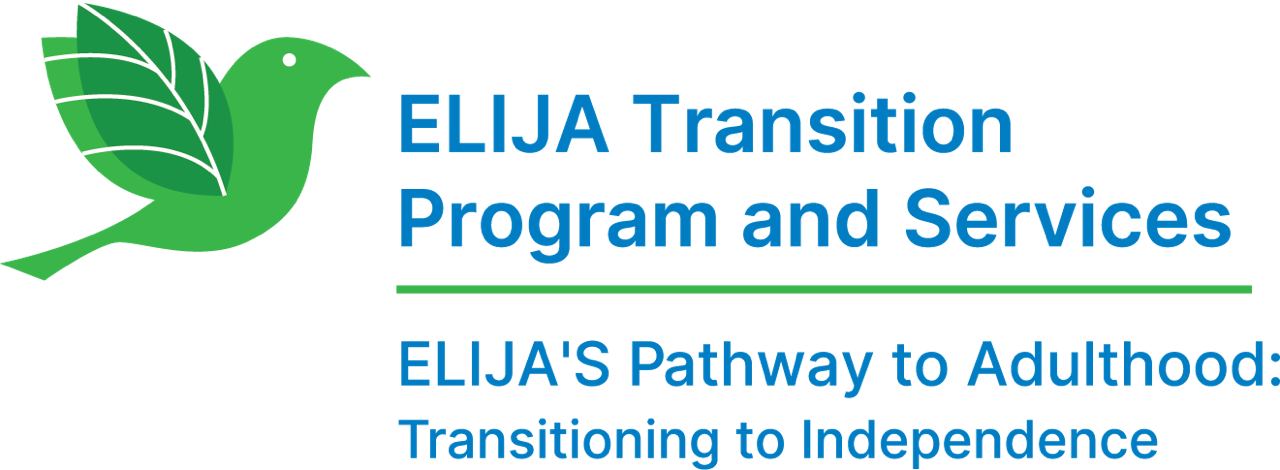 Transition Logo